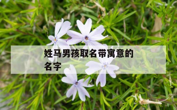 2017姓令狐的男孩名字大全,属鸡令狐姓男宝宝起名 2017姓令狐的男孩名字大全,属鸡令狐姓男宝宝起名