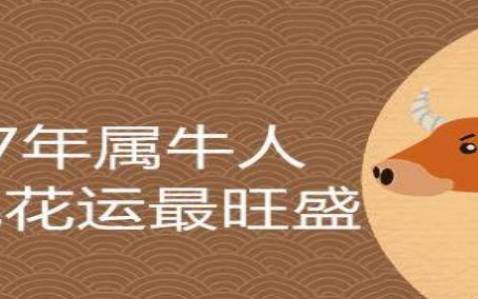 2022年运势生肖牛运势,获得额外收入 2022年运势生肖牛运势,获得额外收入