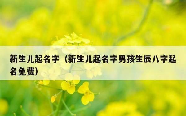 百度起名网生辰八字免费，起名网官网