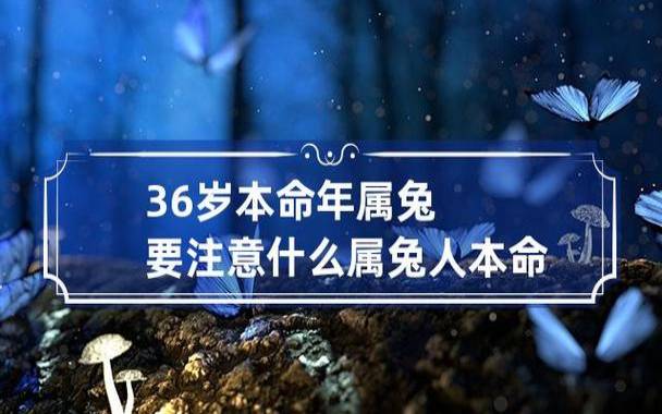 87年属兔36岁有一灾吗,属兔人2023年运势解析 87年属兔36岁有一灾吗,属兔人2023年运势解析