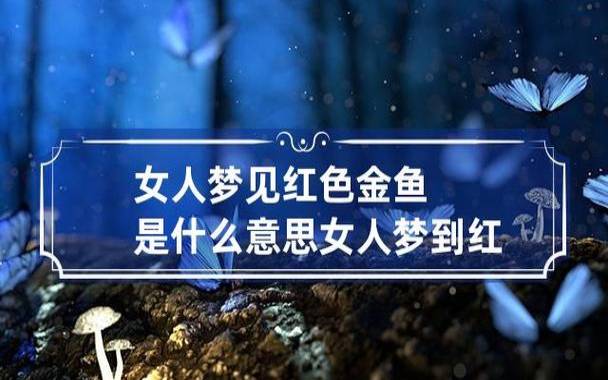梦见手机被偷了是什么预兆女 梦见手机被偷了是什么预兆女