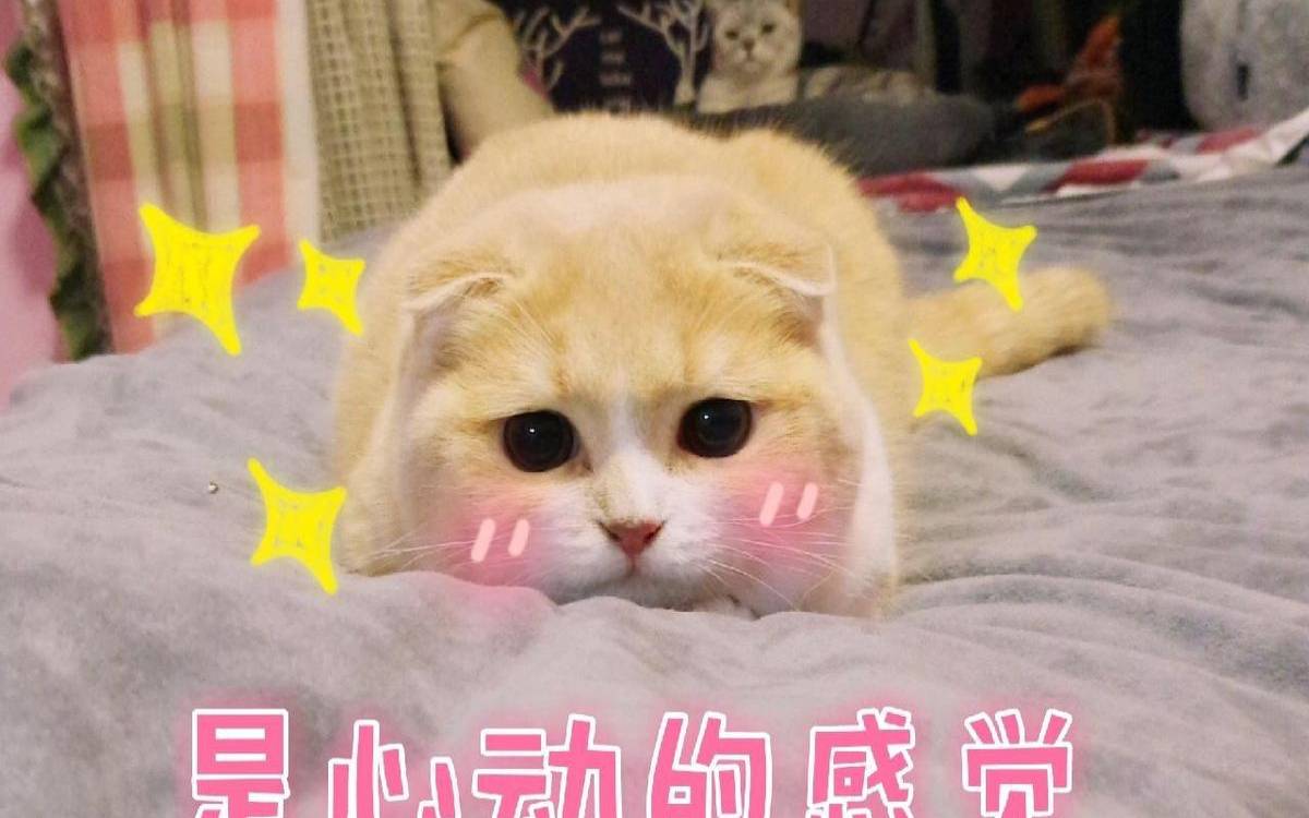 塔罗测试,怎么处理职场的血雨腥风 塔罗测试,怎么处理职场的血雨腥风