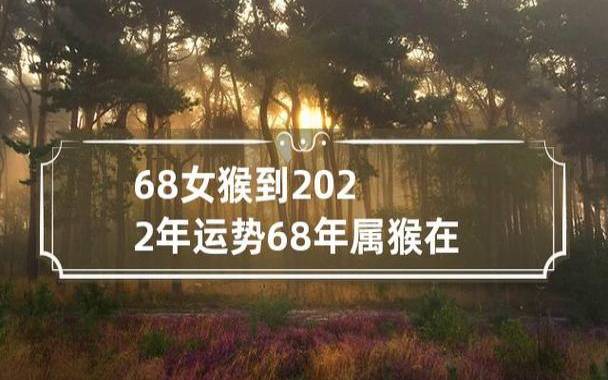 生肖猴2022年的整体运势如何，财运好不好