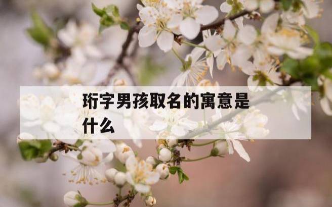 带深字的男孩名字