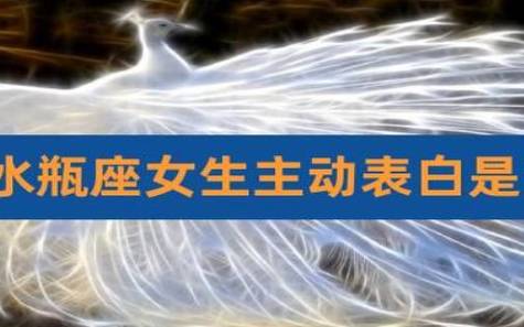 水瓶座女子，水瓶座女人