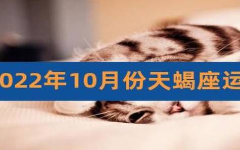 天蝎座2023上半年运势 天蝎座2023上半年运势
