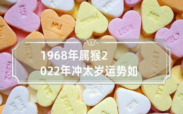 龙震天2022年属猴人运势，吉星煞星详解