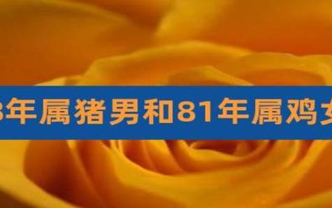 女鼠男猪婚配合不合适，生肖猪今年的运势如何