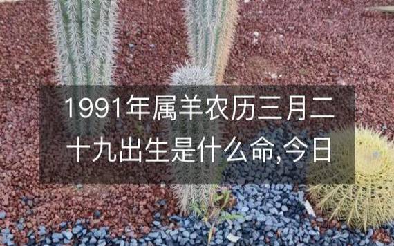 2019年八字辛未月运势，壬水／正印月
