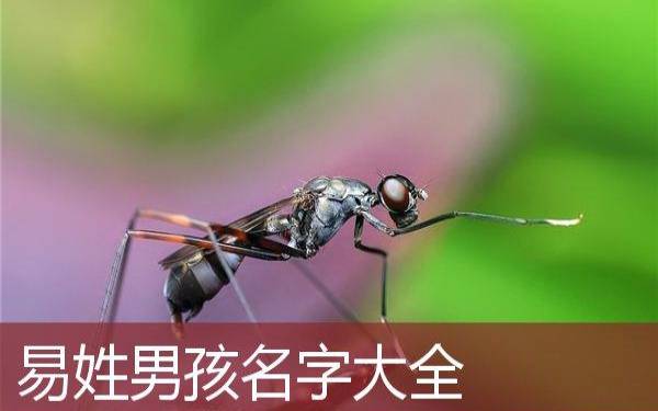 带吉字的男孩名字