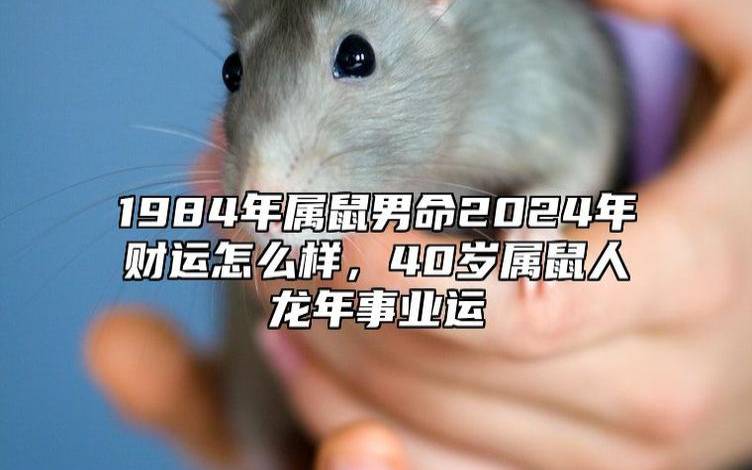 女猪男鼠离异的多吗，生肖鼠六月份的运势如何