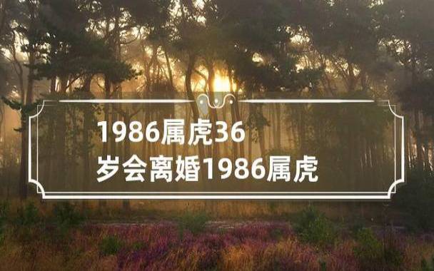 92年猴2022年虎年的运势（属猴人2022年运势及运程）