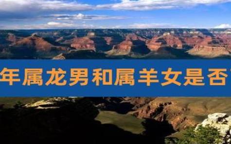 两个88年属龙人在一起好不好（婚配好不好）