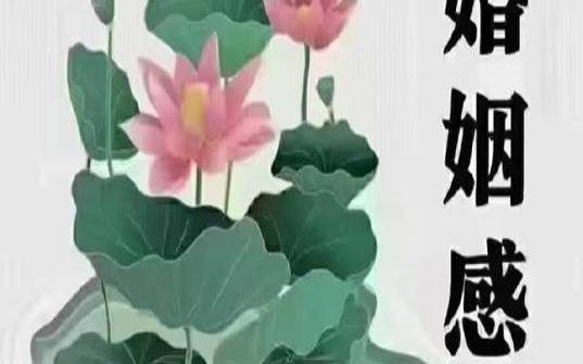 家里孩子婚姻不好和什么有关系,怎么化解姻缘运势差 家里孩子婚姻不好和什么有关系,怎么化解姻缘运势差