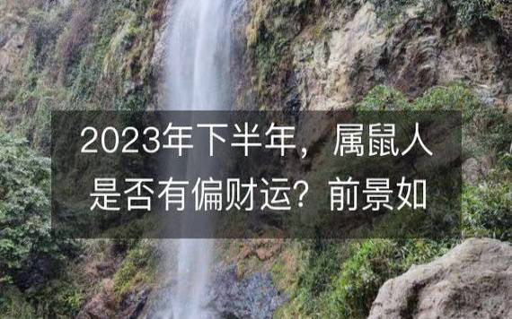 2023属鼠的财运（工作会有巨大的变化）