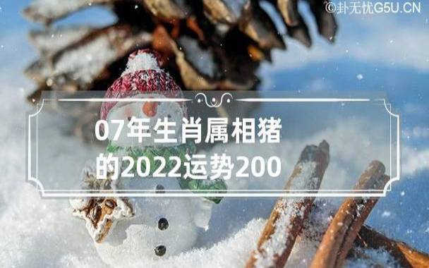 生肖猪男人的2022年运势如何（事业机遇多多）