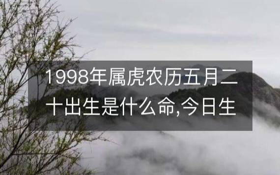 2018年八字戊午月运势，丙火／食神月