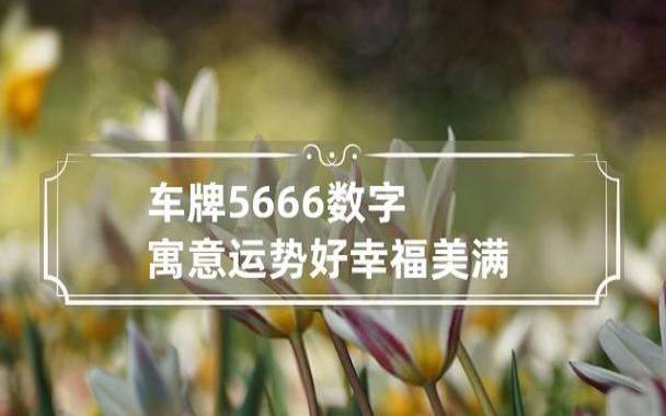 车牌号选择原则，车牌如何影响个人运势
