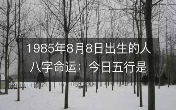 2019年八字乙丑月运势，戊土／劫财月