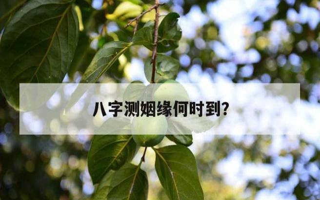 测你的姻缘藏在哪