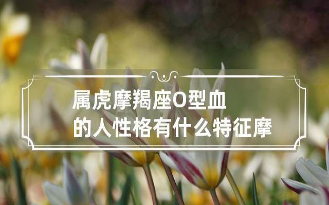 Ｏ型摩羯座