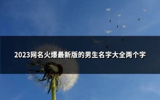 2023个性网名男两个字