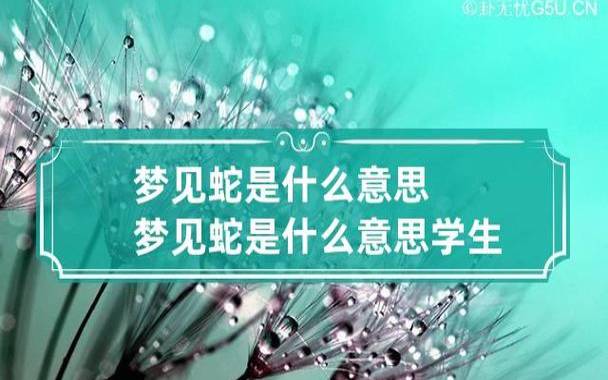 梦见别人把蛇剖开了