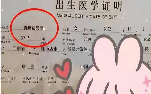 最新最火二胎男宝宝起名大全
