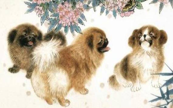 94年属狗几岁结婚好（生肖狗的婚配查询）
