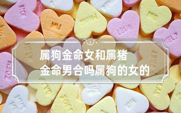 属狗男和属猪女相配吗（天造地设的一对）