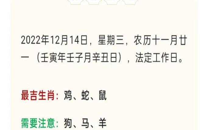 2022年11月8日十二生肖运势解析 2022年11月8日十二生肖运势解析