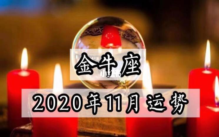 金牛座2024年11月事业运势