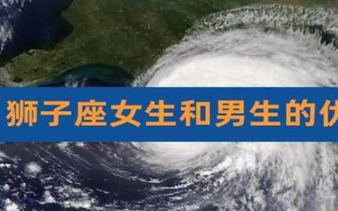 狮子座有什么优点
