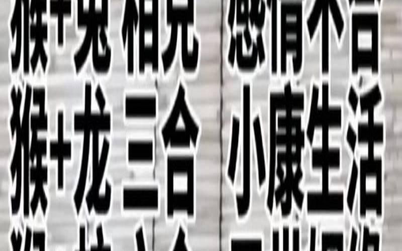 两个属猴的人结婚好吗,两个都是属猴的婚姻幸福吗