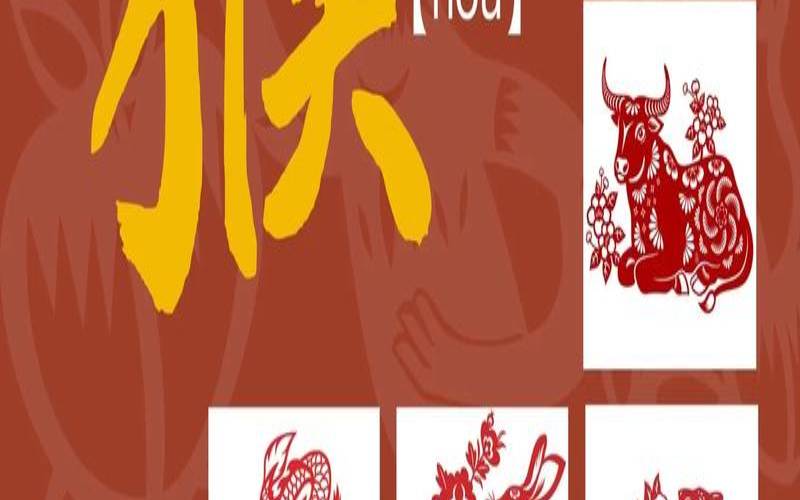 属猴人2020年运势及财运,生肖猴胖好还是瘦好