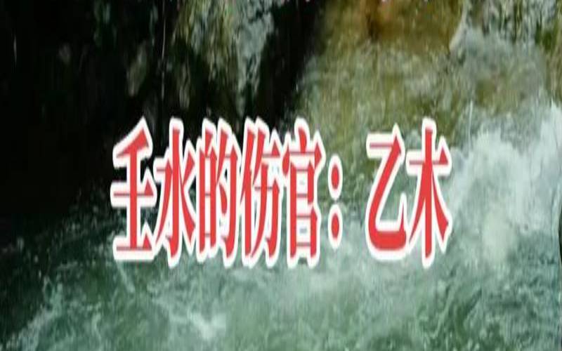 壬水生于申月八字案例（甲木跟壬水合吗）