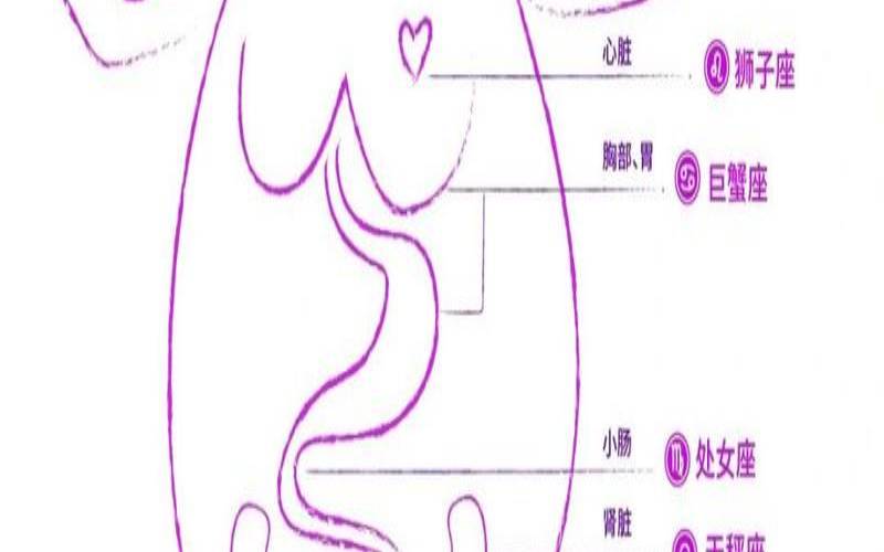 十二星座身体部位排名,十二星座代表的器官 十二星座身体部位排名,十二星座代表的器官