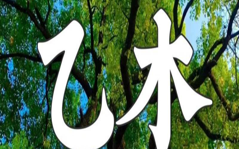 戊戌年戊午月论命（戊土克得了壬水吗）