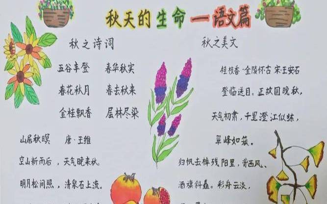 秋季你会遇到哪种艳遇作文（秋天约会短句唯美句子）