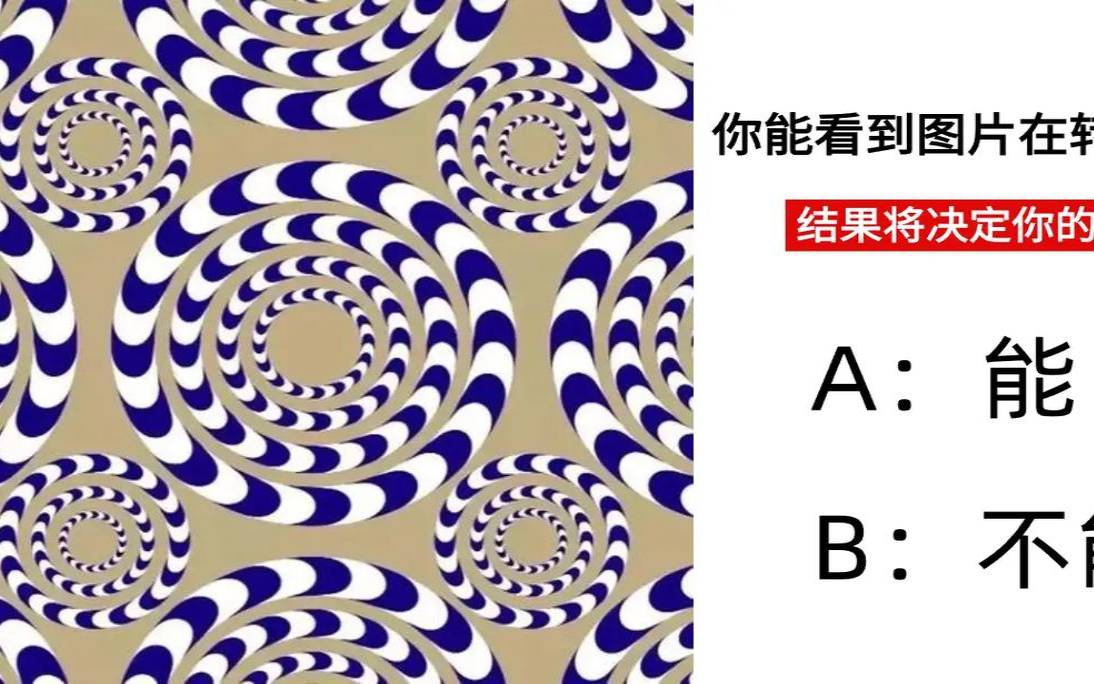 自我约束的能力叫什么（智商测试免费20题）