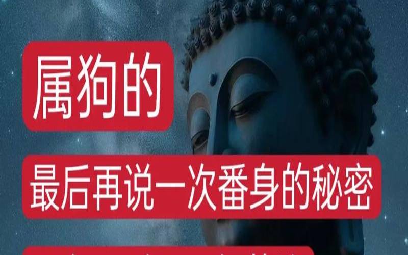 70年属狗的是什么命,属狗的命运怎么样