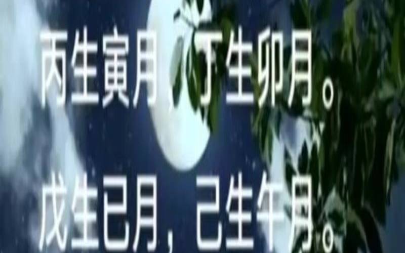 丁火生卯月偏印格（身弱的丁火喜什么）