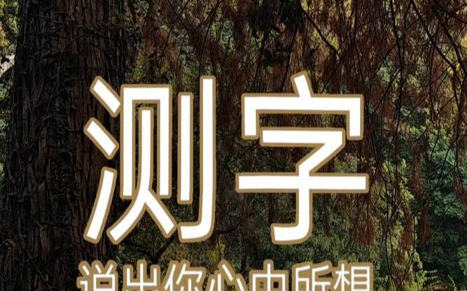 占卜测字朋友眼中的你（测你在别人眼里的形象）