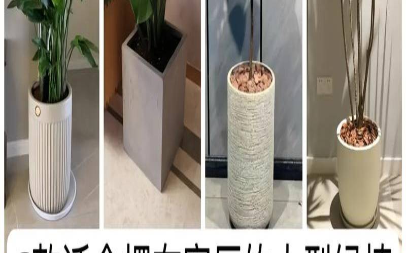 西北方书房风水（适合放客厅的大盆绿植图片）
