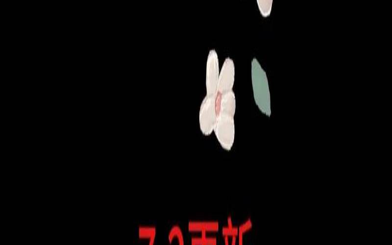 表达一切重新开始的词语（寓意重新开始的昵称）