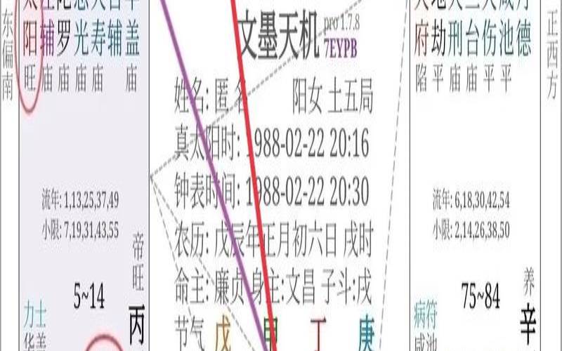 2023癸卯流年（紫微星座运势）