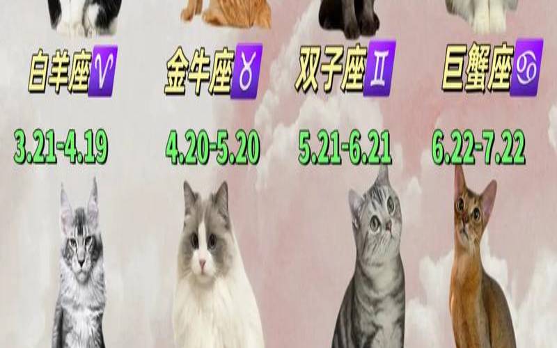 竹猫星球首页（星运猫星座运势）
