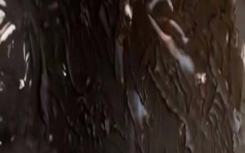 梦见走路脚上沾泥巴,梦见自己踩了满脚稀泥