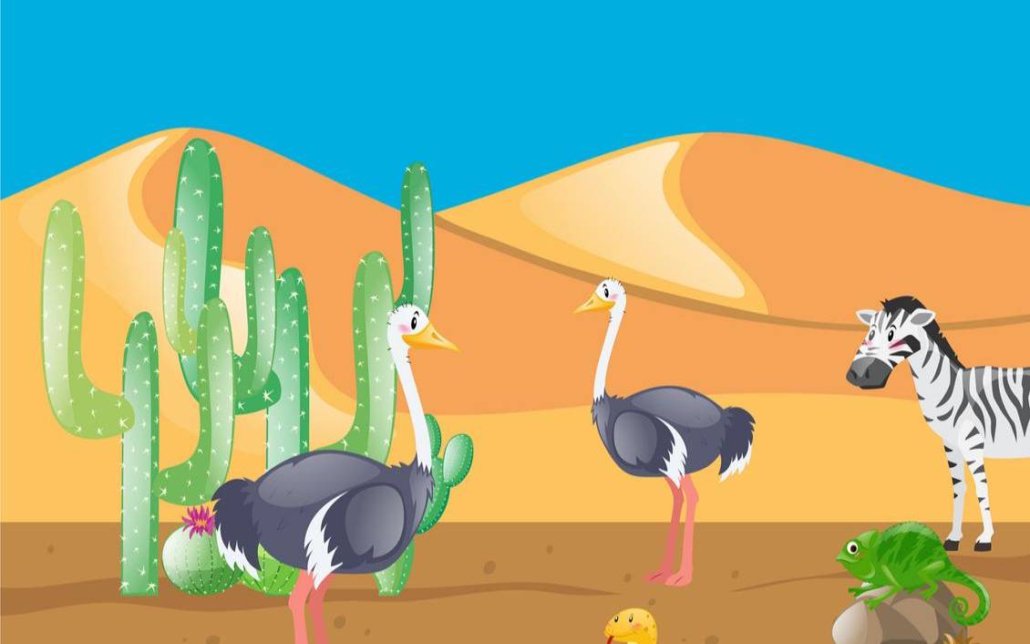 梦见鸵鸟追赶自己,女人梦见鸵鸟是吉兆发财