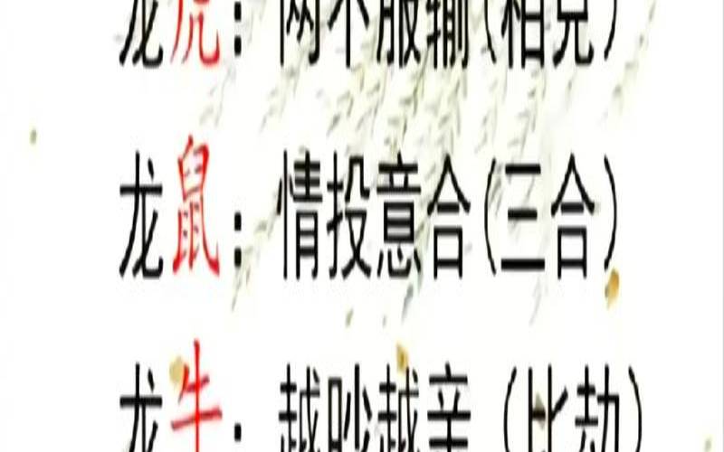 属龙男和十二生肖女的爱情（属龙女人做什么生意最旺）